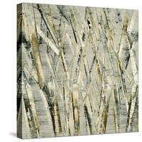 Birches V-Sharon Gordon-Stretched Canvas