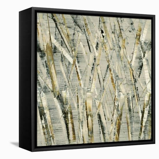 Birches V-Sharon Gordon-Framed Stretched Canvas