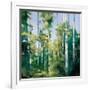 Birches-Julia Purinton-Framed Art Print