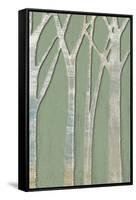 Birchline Triptych III-Jennifer Goldberger-Framed Stretched Canvas