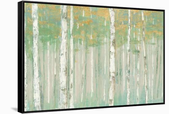 Birchs at Sunrise Gold Crop-Julia Purinton-Framed Stretched Canvas