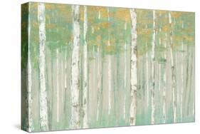 Birchs at Sunrise Gold Crop-Julia Purinton-Stretched Canvas