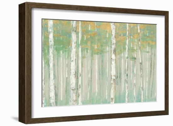 Birchs at Sunrise Gold Crop-Julia Purinton-Framed Art Print