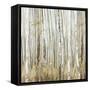 Birchscape II-Allison Pearce-Framed Stretched Canvas