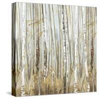 Birchscape II-Allison Pearce-Stretched Canvas