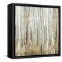 Birchscape II-Allison Pearce-Framed Stretched Canvas