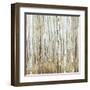 Birchscape II-Allison Pearce-Framed Art Print