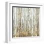 Birchscape II-Allison Pearce-Framed Art Print