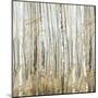 Birchscape II-Allison Pearce-Mounted Art Print