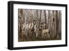 Birchwood Family-Steve Hunziker-Framed Art Print