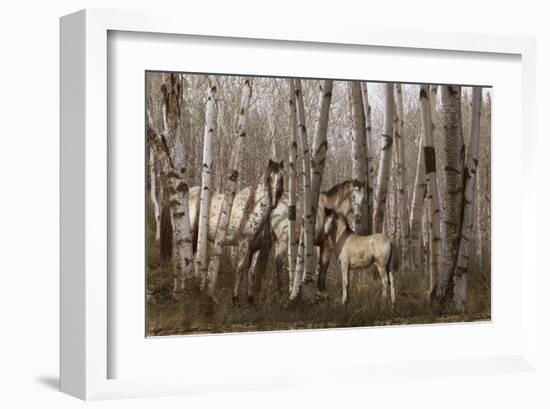 Birchwood Family-Steve Hunziker-Framed Art Print