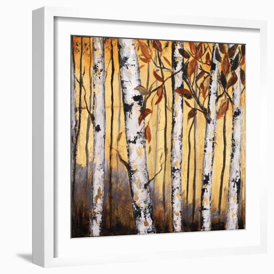 Birchwood Trees on Gold II-Patricia Pinto-Framed Art Print