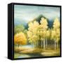 Birchwood-Michael Marcon-Framed Stretched Canvas