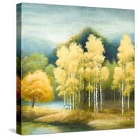 Birchwood-Michael Marcon-Stretched Canvas