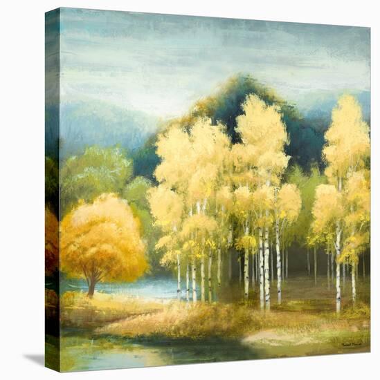 Birchwood-Michael Marcon-Stretched Canvas