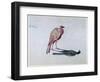 Bird, 1820-1876-George Sand-Framed Giclee Print