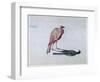 Bird, 1820-1876-George Sand-Framed Giclee Print