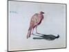 Bird, 1820-1876-George Sand-Mounted Giclee Print