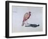 Bird, 1820-1876-George Sand-Framed Giclee Print