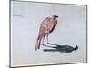 Bird, 1820-1876-George Sand-Mounted Giclee Print