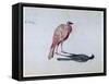 Bird, 1820-1876-George Sand-Framed Stretched Canvas