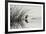 Bird 1-Lee Peterson-Framed Photographic Print