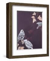 Bird 1-Design Fabrikken-Framed Art Print