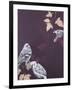 Bird 1-Design Fabrikken-Framed Art Print