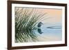 Bird 2-Lee Peterson-Framed Photographic Print