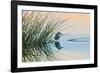 Bird 2-Lee Peterson-Framed Photographic Print