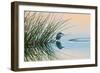 Bird 2-Lee Peterson-Framed Photographic Print