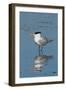 Bird 3-Lee Peterson-Framed Photographic Print