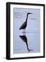 Bird 4-Lee Peterson-Framed Photographic Print