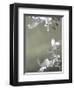 Bird 4-Design Fabrikken-Framed Art Print