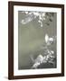 Bird 4-Design Fabrikken-Framed Art Print