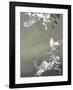 Bird 4-Design Fabrikken-Framed Art Print