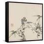 Bird and Bamboo-Wu Yun-Framed Stretched Canvas