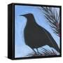 Bird And Berries 12-Tim Nyberg-Framed Stretched Canvas