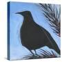 Bird And Berries 12-Tim Nyberg-Stretched Canvas