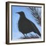 Bird And Berries 12-Tim Nyberg-Framed Giclee Print