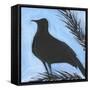 Bird And Berries 13-Tim Nyberg-Framed Stretched Canvas