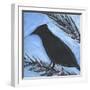 Bird And Berries 14-Tim Nyberg-Framed Giclee Print
