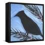 Bird And Berries 14-Tim Nyberg-Framed Stretched Canvas