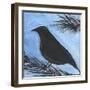 Bird And Berries 15-Tim Nyberg-Framed Giclee Print