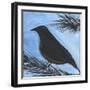 Bird And Berries 15-Tim Nyberg-Framed Giclee Print