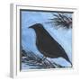 Bird And Berries 15-Tim Nyberg-Framed Giclee Print