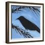 Bird And Berries 3-Tim Nyberg-Framed Giclee Print