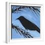 Bird And Berries 3-Tim Nyberg-Framed Giclee Print