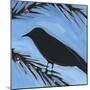 Bird And Berries 3-Tim Nyberg-Mounted Giclee Print