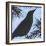 Bird And Berries 7-Tim Nyberg-Framed Giclee Print